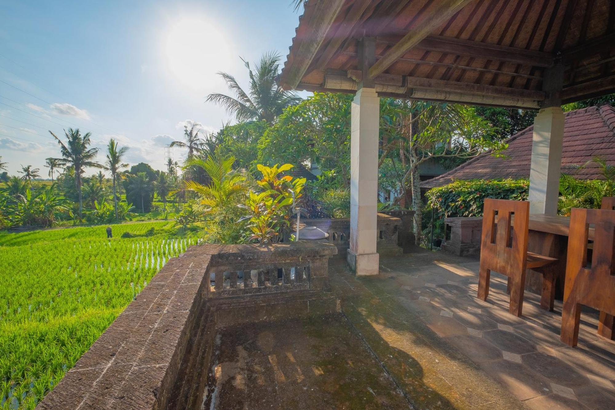 Puri Cili Villa Ubud Ngoại thất bức ảnh